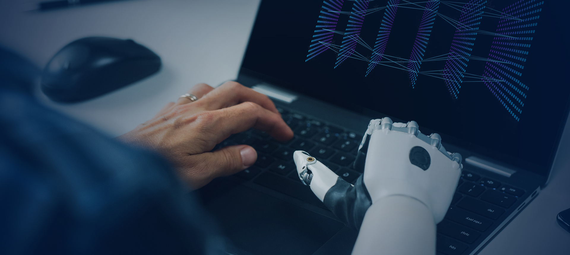 專業高效的團隊